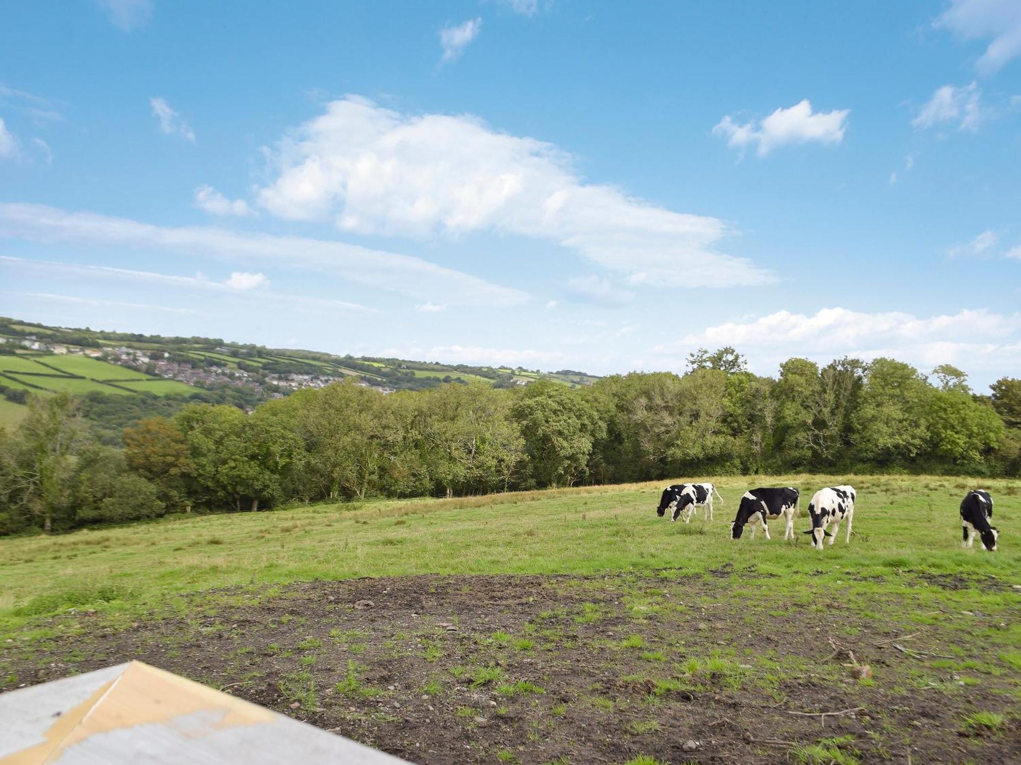 Vila Y Beudy Bach Pont-y-Berem Exteriér fotografie